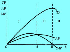 Image:总产量、平均产量与边际产量关系图.jpg