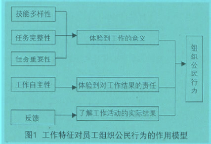 Image:图1 工作特征对员工组织公民行为的作用模型.jpg