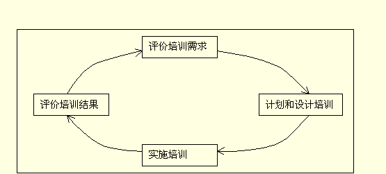 系统型培训模式