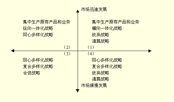 战略群模型