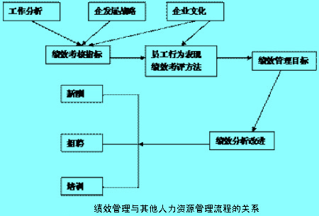 绩效管理系统与其他人力资源管理系统的关系