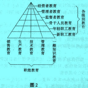 Image:级别教育与职能教育.jpg