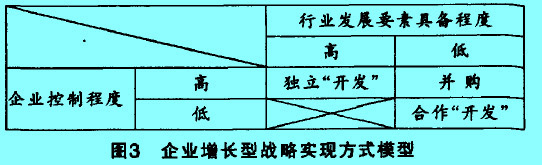 Image:企业增长型战略实现方式.jpg