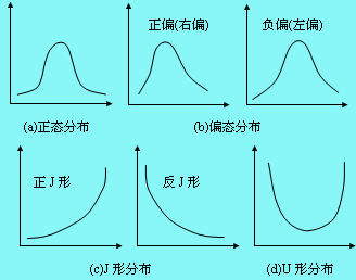 频数分布