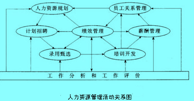 人力资源管理活动关系图