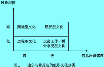 过程型文化