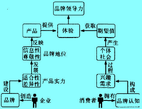 Image:产品品牌领导力建设与消费者体验过程.jpg