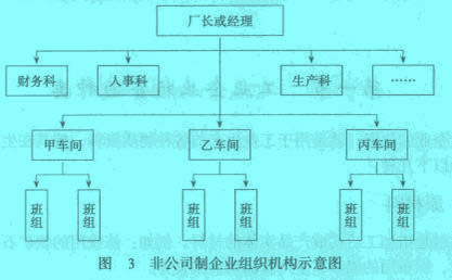 Image:非公司制企业组织机构示意图.jpg