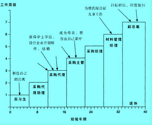 Image:传统的职业通道.jpg