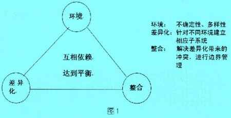 环境与组织的依赖关系.jpg