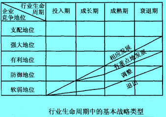 行业生命周期中的基本战略类型