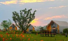 为什么说成都新津探索出了一种“乡村振兴模式