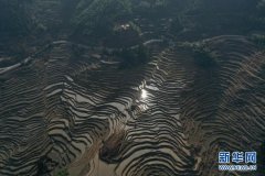 米乐体育直播:浙江：云和梯田美