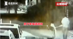 广东会98网址:德牧小区内咬死咬伤12只狗引公愤，主人拒绝将狗